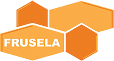 لوگوی شرکت فروسلا